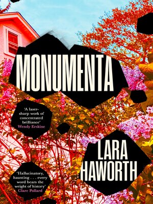 cover image of Monumenta